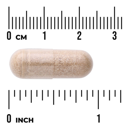 Swanson Klanopraška čínská (Schizandra Extract) 500 mg 60 kapslí