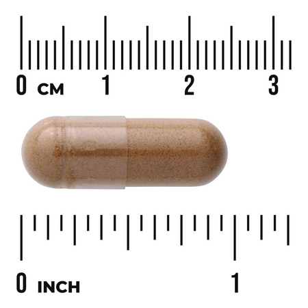 Swanson Full Spectrum Lion’s Mane Mushroom 500 mg 60 kapslí