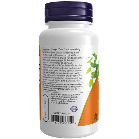 Now Foods Pine Bark Extract 240 mg 90 veg kapslí