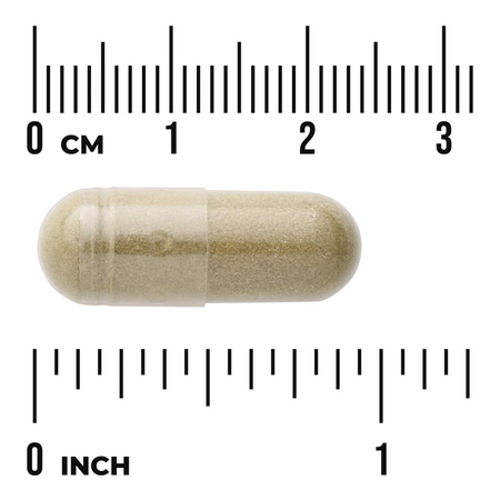 Swanson Full Spectrum Andrographis Paniculata 400 mg 60 kapslí