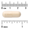Swanson Skin and Joint BioCell Collagen 120 kapslí