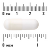 Swanson Magnézium (Laktát hořečnatý) 84 mg 120 kapslí