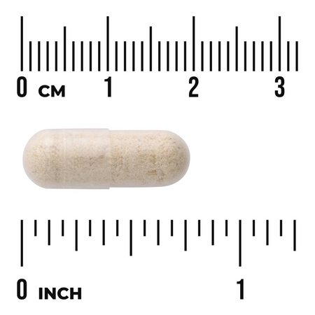 Swanson Jakon (Yacon) Extract 100 mg 90 kapslí