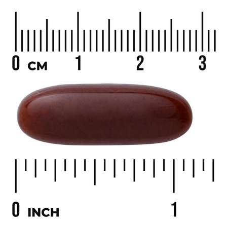 Swanson Brusinka (Cranberry Whole Fruit) Extract 420 mg 60 kapslí