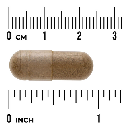 Swanson Holy Basil Leaf (Bazalka) 400 mg 120 kapslí