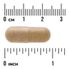 Swanson Ostropestřec Mariánský (Milk Thistle) 500 mg 30 kapslí