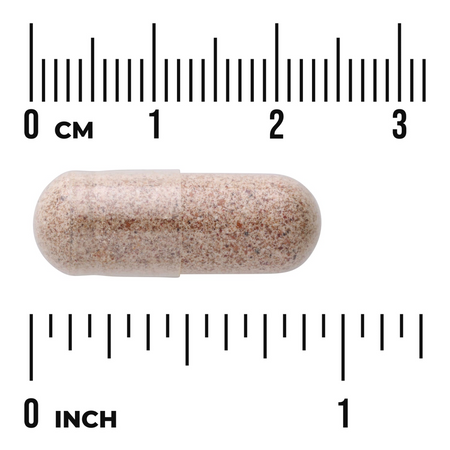 Swanson Klanopraška Čínská (Schizandra Berries) 525 mg 90 kapslí