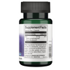 Swanson SunActive nedráždivé Železo 15 mg 90 kapslí