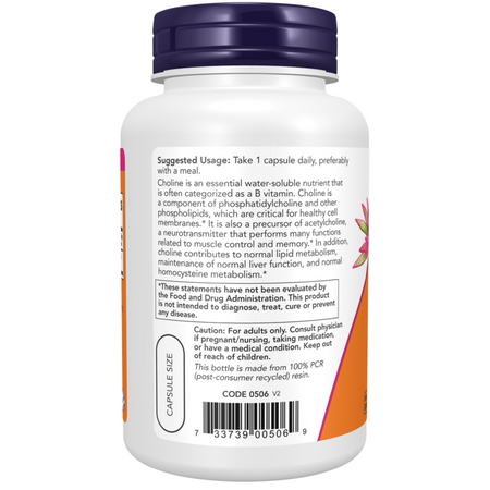 Now Foods Cholina 300 mg 100 veg kapslí