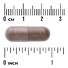 Swanson Pau d'Arco 500 mg 100 kapslí