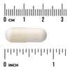 Swanson Probiotika ProLacto Acidophilus 60 kapslí