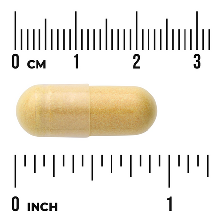 Swanson Uric Acid Cleanse 60 kapslí