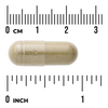 Swanson Full Spectrum Andrographis Paniculata 400 mg 60 kapslí