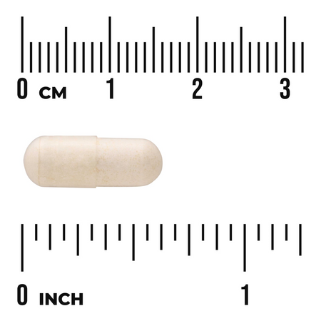 Swanson Anti-Gas Enzyme 90 kapslí