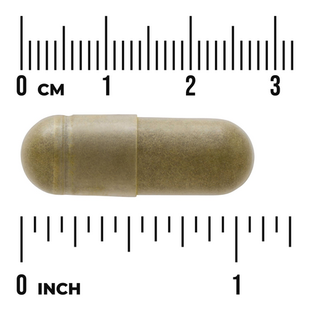 Swanson Moringa Olejodárná (Moringa Oleifera) 400 mg 60 kapslí