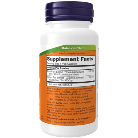 Now Foods Pine Bark Extract 240 mg 90 veg kapslí