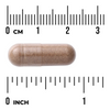 Swanson Full Spectrum Saw Palmetto 540 mg 250 kapslí