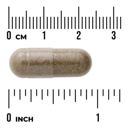 Swanson Meduňka Lékařská (Lemon Balm) 500 mg 60 kapslí