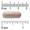 Swanson Klanopraška Čínská (Schizandra Berries) 525 mg 90 kapslí