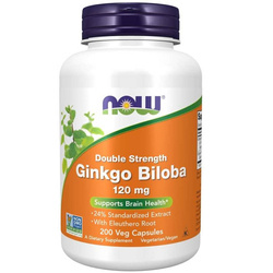 Now Foods Ginkgo Biloba Double Strength Extrakt 120 mg 200 veg kapslí