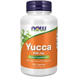 Now Foods Yucca 500 mg 100 kapslí