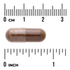 Swanson Rapid Immune Defense EPICOR 30 kapslí