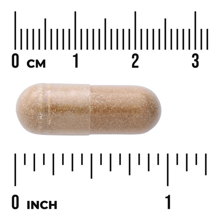 Swanson Agaricus Blazei Extrakt 500 mg 90 kapslí