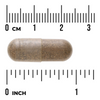 Swanson Jitrocel Větší (Plantain) 400 mg 60 kapslí