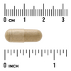 Swanson Buchu Leaf 100 mg 60 kapslí