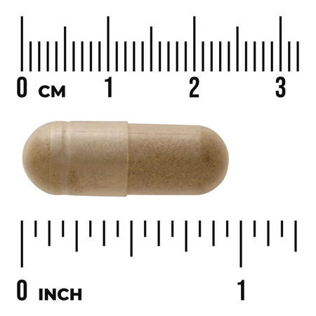 Swanson Gotu Kola Extract 100 mg 120 kapslí