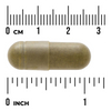 Swanson Moringa Olejodárná (Moringa Oleifera) 400 mg 60 kapslí