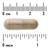 Swanson Chanca Piedra 500 mg 60 kapslí