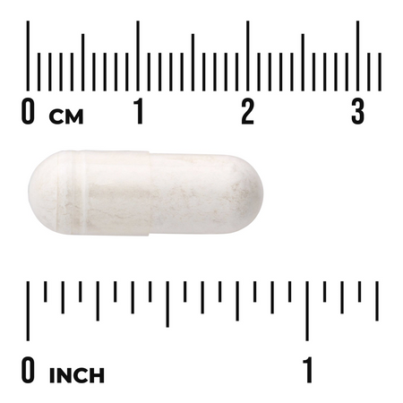 Swanson Boswellia 400 mg 100 kapslí