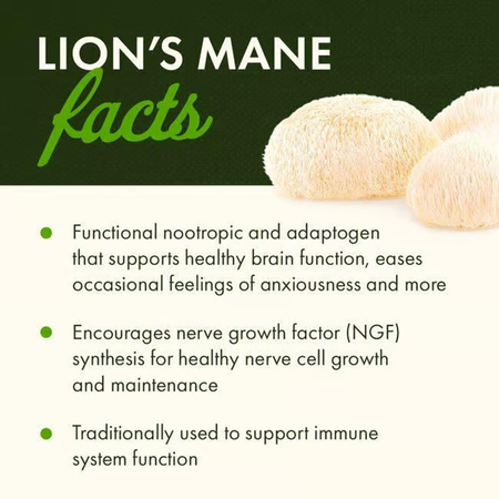 Swanson Full Spectrum Lion’s Mane Mushroom 500 mg 60 kapslí