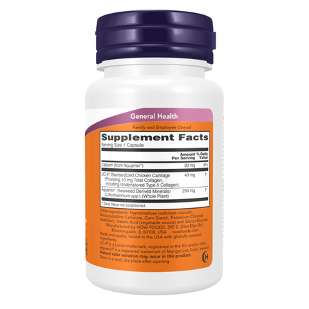 Now Foods UC-II Type II Collagen 60 kapslí