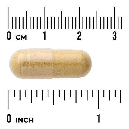 Swanson Ginger a Turmeric 60 kapslí