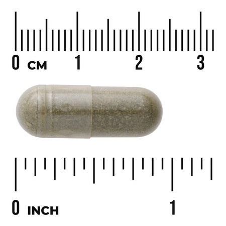 Swanson Full Spectrum Spearmint Leaf 400 mg 60 kapslí