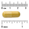 Swanson Berberine 400 mg 60 kapslí
